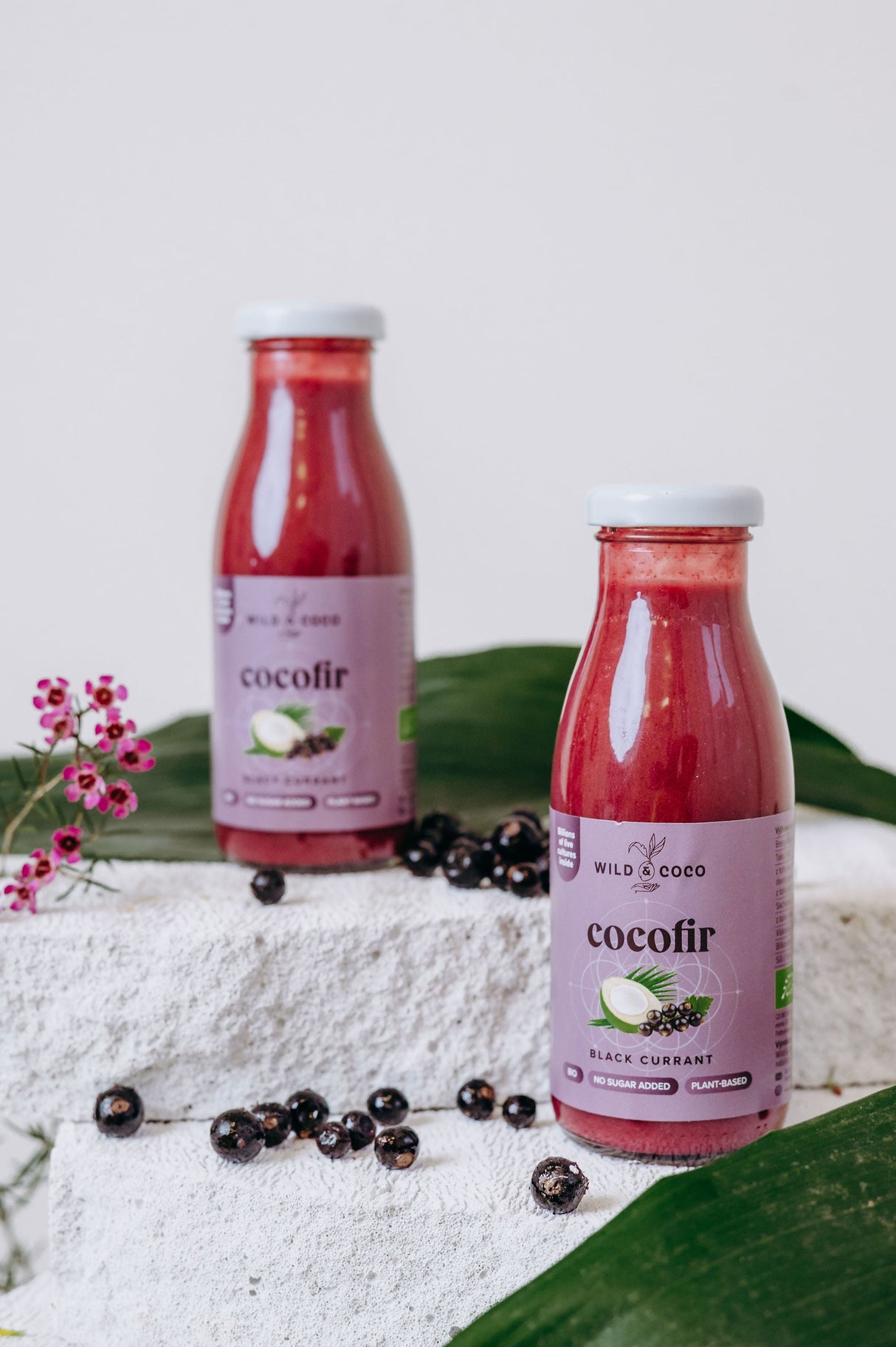 Cocofir Černý Rybíz BIO