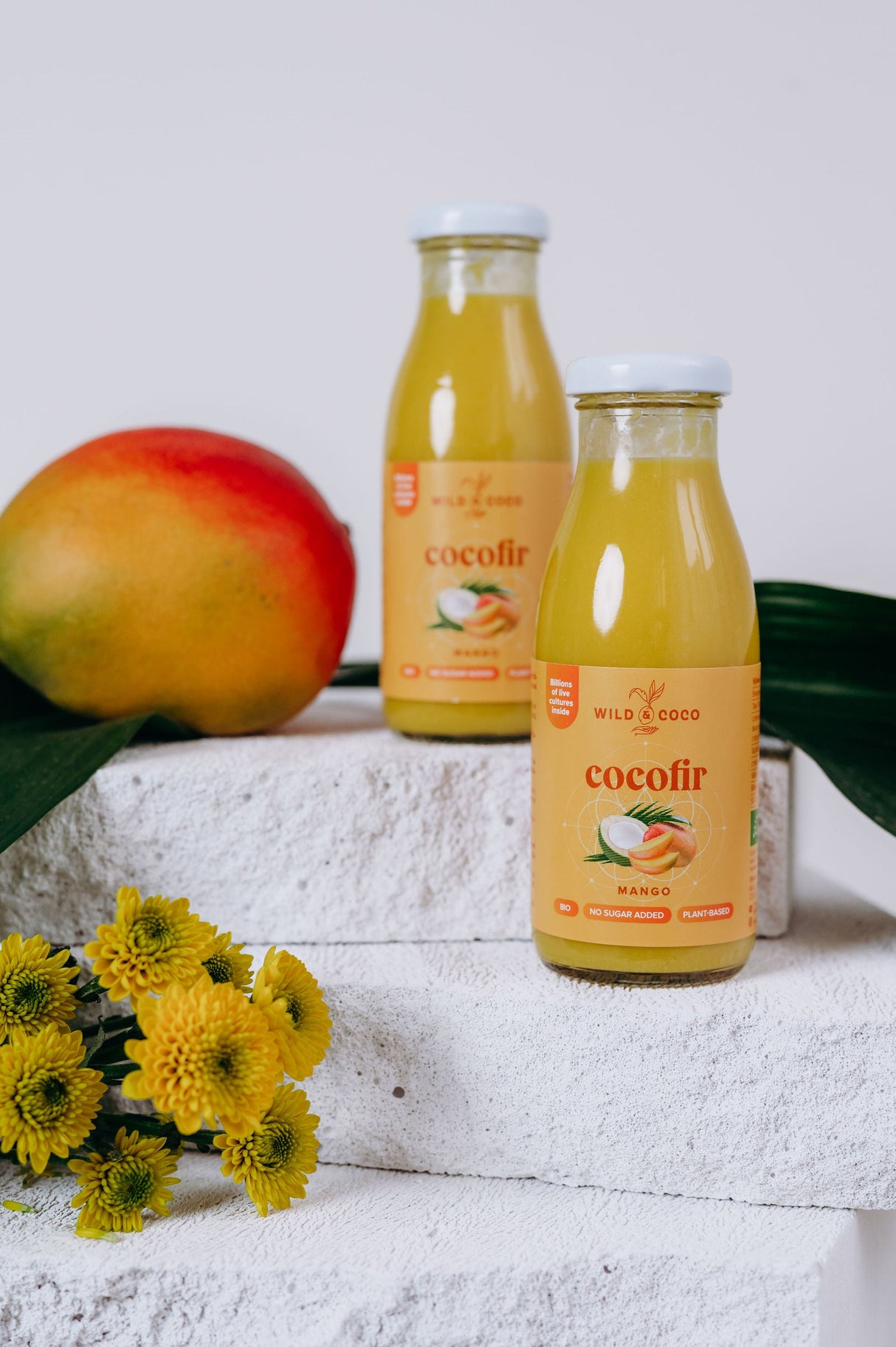 Cocofir Mango BIO