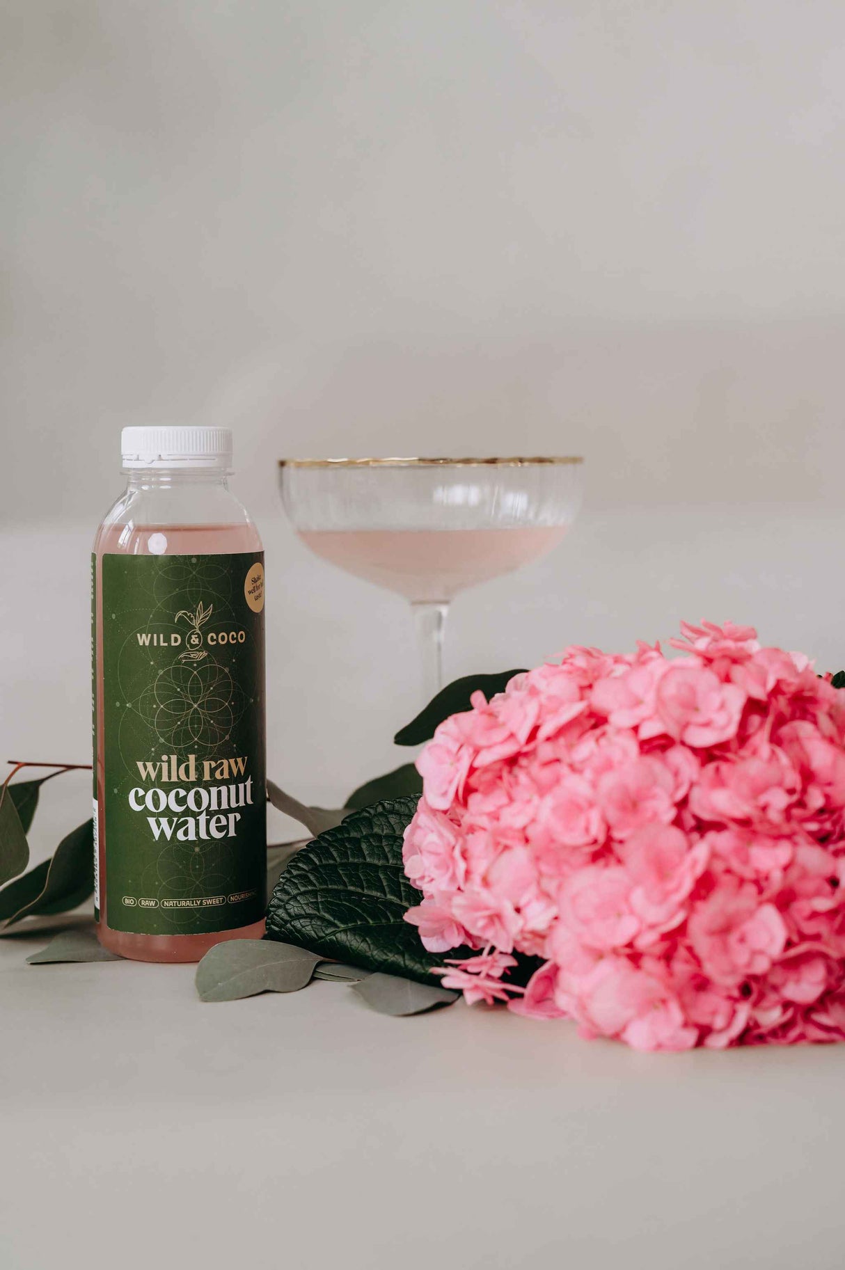 Wild Raw Coconut Water BIO